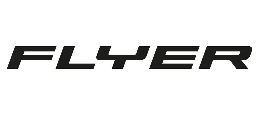 flyer logo